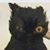 Ryan Hemenway's profile image