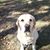 Brenda Shallenburger's profile image