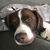 CraigJackie Wolter's profile image