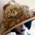 Mary Walkup's profile image