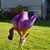 Robin Puderbaugh's profile image