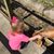 Joni Summerville's profile image