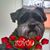 Kathy Stanley's profile image