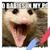 Rebecca Behr's profile image