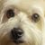 Trena Moberly's profile image