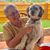 Sheryl Vance's profile image