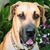 Tammy Caudill's profile image