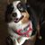 Sherry Green Finley's profile image