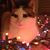 Cristine Lammers's profile image