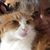 Karen Lynn Gooding's profile image