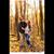 Krystyne Mayes's profile image
