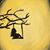 Nick Stebe's profile image
