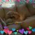 Brenda Alexander's profile image