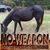 Tim Spears's profile image