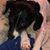 Maggie Gorchoff's profile image