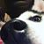 Erin Dooley Machura's profile image