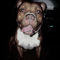 John Schiffke's profile image