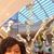 Muthoni Ndigirigi's profile image