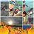 Beth A Pafford's profile image
