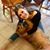 Natalie Hurst's profile image