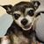 Amanda Strickland's profile image