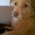 Margarita Morales's profile image