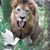 Kathryn Caswell's profile image