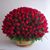 Miriam Castillo's profile image