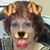 Debbie Smith's profile image