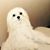 Calvan Cline's profile image