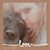 Kristi Lindblad-Bengtson's profile image