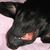 Winnie Oldham's profile image