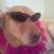 Vicky Mercer's profile image