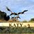 Gaurang K. Desai's profile image
