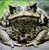 Alan Graham's profile image