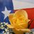 Bernie Ballesteros's profile image