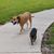 Kaye Lynn Spreeman Shinneman-McClain's profile image