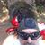 Richard Bejarano's profile image