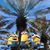 Carol DeMichele Needelman's profile image