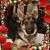Judy Cobb's profile image