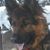 Jacqui Lear's profile image