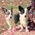 Joanna McKim's profile image