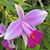 Sharon Schweitzer Scott's profile image