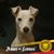 Guillermo E. Renteria's profile image