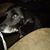 Linda Renee's profile image
