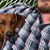 David Iverson's profile image