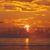 Don R Hose Jr.'s profile image