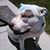 Amy Olson's profile image