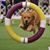 Nancy Yechout's profile image