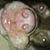 Katherine Plott's profile image
